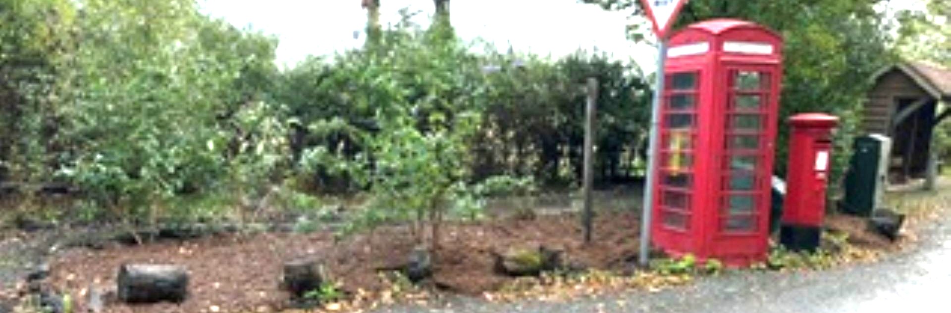 Ifold Conservation Area after mulching